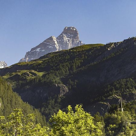 Hellochalet - Chalet Northern Lights - Family Ski Chalet With Garden Walking Distance Lift فالتورنيتش المظهر الخارجي الصورة